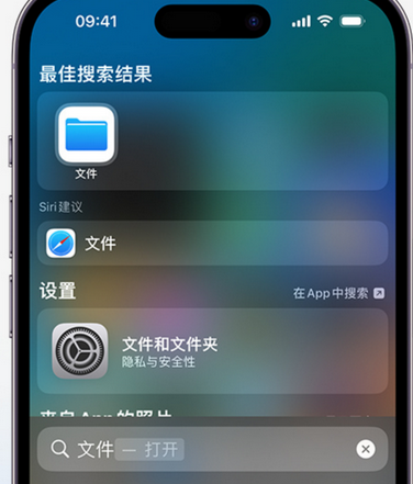 海城apple维修中心分享iPhone文件应用中存储和找到下载文件