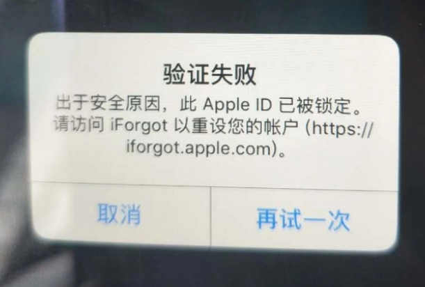 海城iPhone维修分享iPhone上正常登录或使用AppleID怎么办 