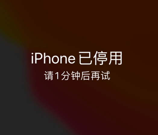 海城苹果手机维修分享:iPhone 显示“不可用”或“已停用”怎么办？还能保留数据吗？ 