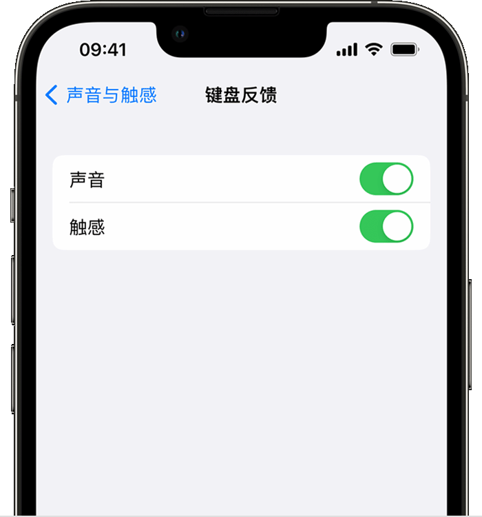 海城苹果14维修店分享如何在 iPhone 14 机型中使用触感键盘 