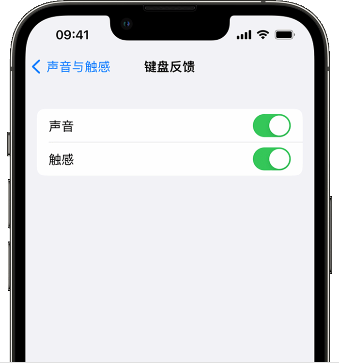 海城苹果14维修分享iPhone 14 系列机型如何开启键盘声音或触感反馈 