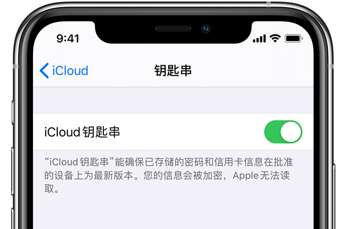 海城苹果手机维修分享在 iPhone 上开启 iCloud 钥匙串之后会储存哪些信息 