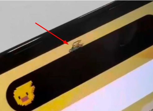 海城苹果14维修分享iPhone 14 Pro Max灵动岛怎么养宠物 