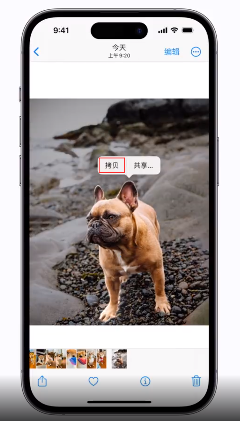 海城苹果手机维修分享 iOS 16 自带一键抠图功能 