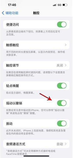 海城苹果手机维修分享iPhone手机如何设置摇一摇删除文字 