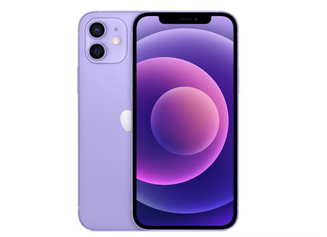 海城苹果手机维修分享现阶段要不要入手紫色版iPhone12 