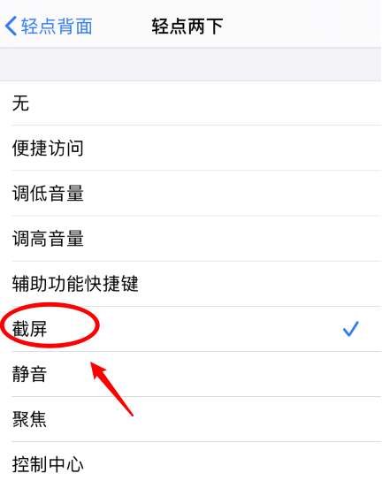 海城苹果手机维修分享iPhone12如何启用双击截屏 