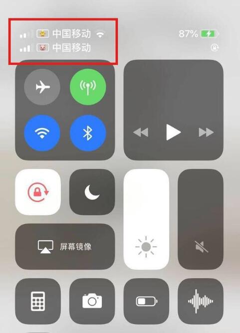 海城苹果手机维修分享为 iPhone 12 双卡设置标签 